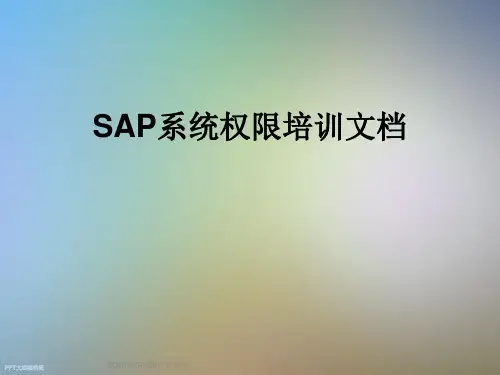 SAP系统权限培训文档