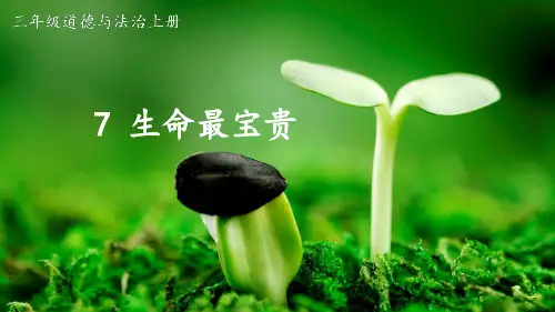 最新部编版三年级道德与法治上册《生命最宝贵》精品教学课件