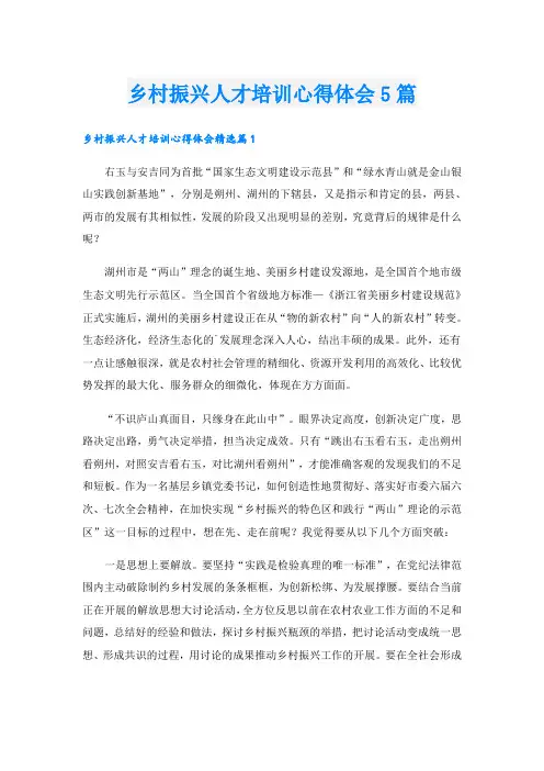 乡村振兴人才培训心得体会5篇