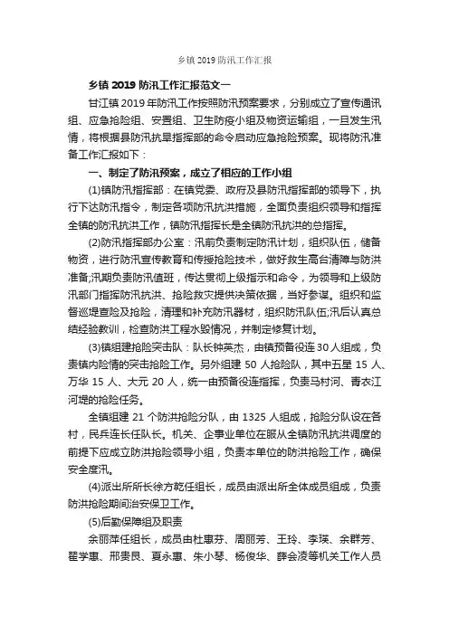 乡镇2019防汛工作汇报