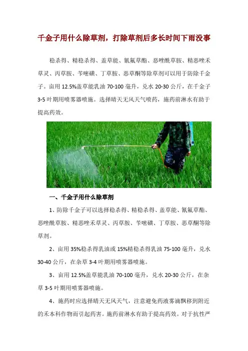 千金子用什么除草剂,打除草剂后多长时间下雨没事