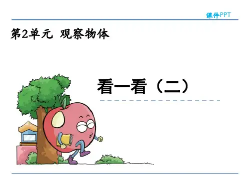 (精品)北师大版三年级数学上册2.2 看一看(二)课件
