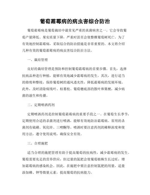 葡萄霜霉病的病虫害综合防治