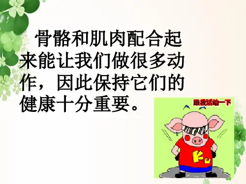 苏教版小学科学四年级PPT《骨骼肌肉的保健》.ppt