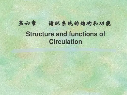 人体解剖生理学第六章-循环系统的结构和功能