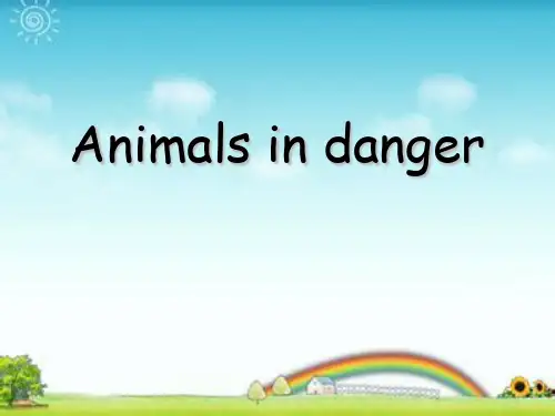《Animals in danger》PPT-上海教育版六年级英语上册