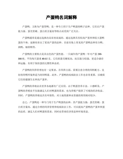 产蛋鸭名词解释