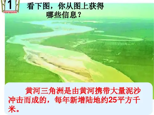 用字母表示数(青岛版)20页PPT
