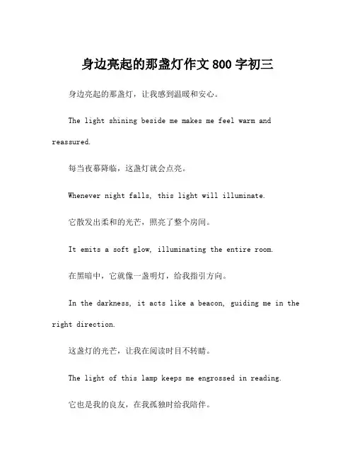 身边亮起的那盏灯作文800字初三
