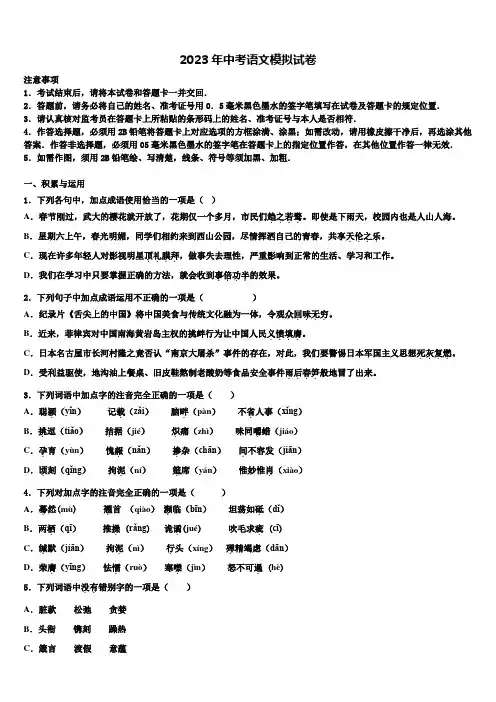 2022-2023学年安徽省合肥市45中学中考语文模拟试题含解析