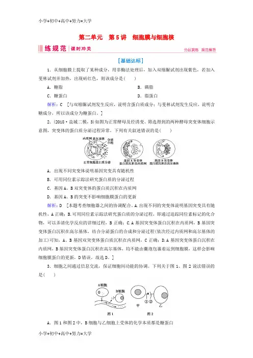 配套K12高考生物一轮复习第二单元细胞的基本结构和物质运输功能第5讲细胞膜与细胞核练习案