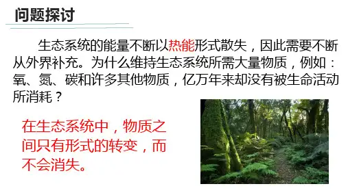 生态系统的物质循环  课件人教版高中生物选修二ppt