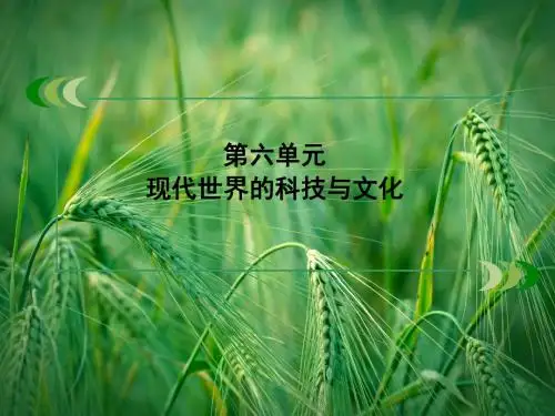 6-25 现代科学革命配套课件 岳麓版必修3课件