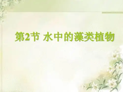 藻类植物课件