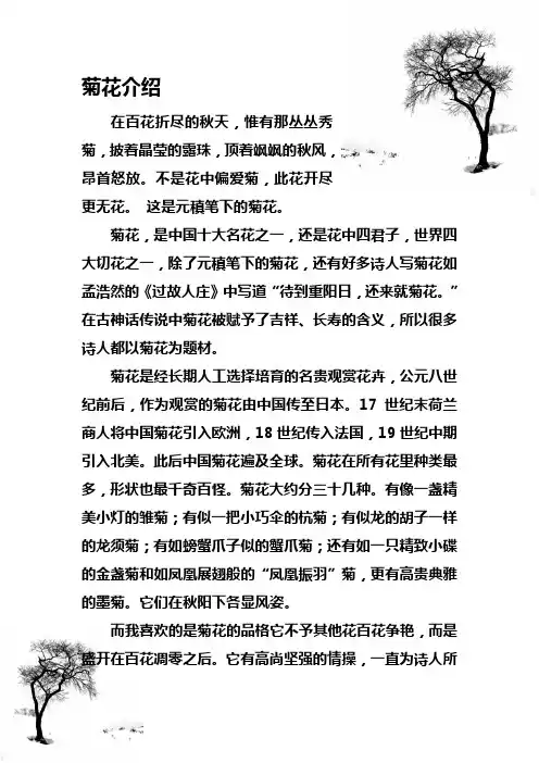菊花介绍