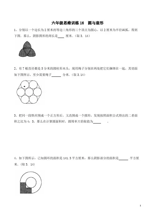 六年级思维专项训练16  圆与扇形(原卷+解析)