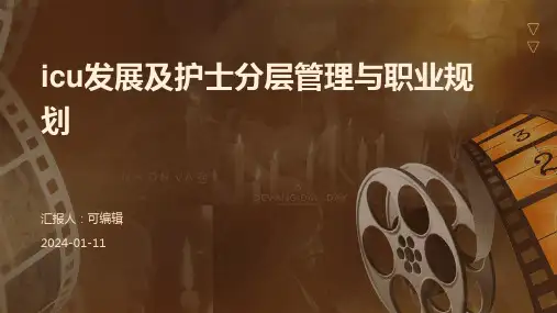 ICU发展及护士分层管理与职业规划PPT