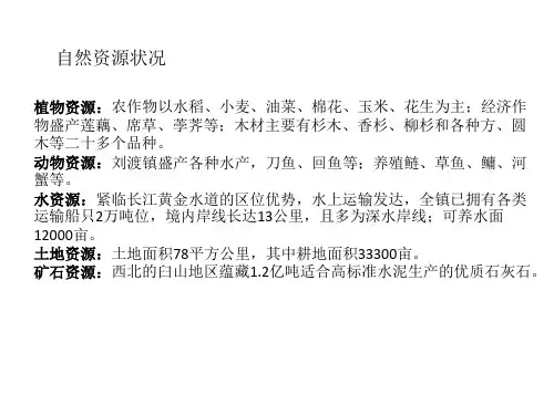 资源优势