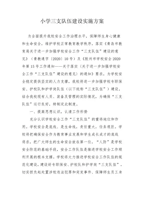 小学三支队伍建设实施方案