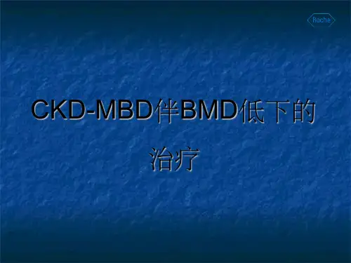 CKD-MBD伴BMD低下的治疗