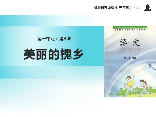 《美丽的槐乡》