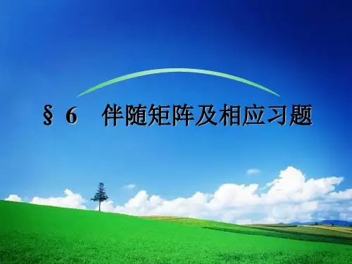 伴随矩阵及习题.ppt