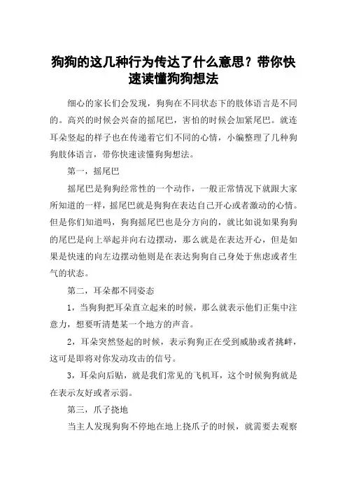狗狗的这几种行为传达了什么意思？带你快速读懂狗狗想法