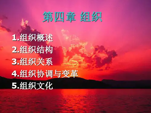 管理的组织