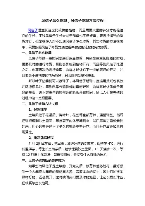 风信子怎么修剪，风信子修剪方法过程
