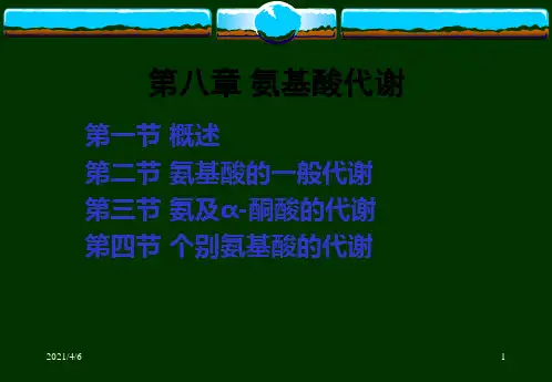 第八章氨基酸代谢