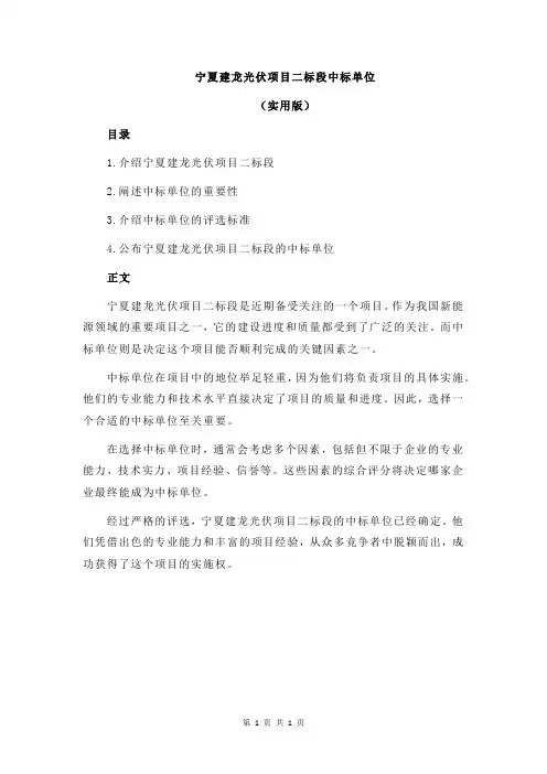 宁夏建龙光伏项目二标段中标单位