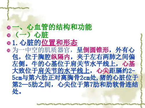 医学资料心血管系统ppt课件
