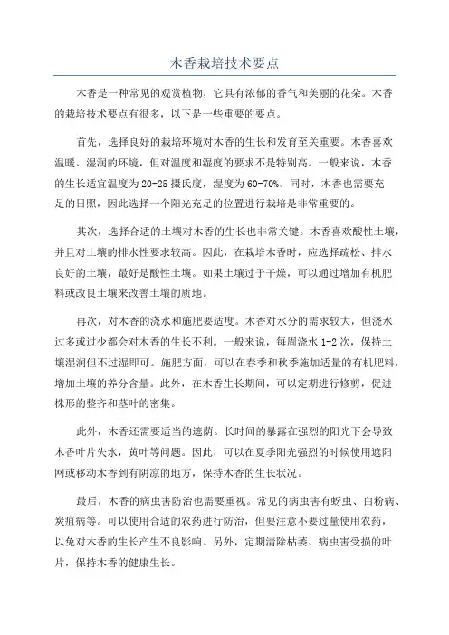 木香栽培技术要点