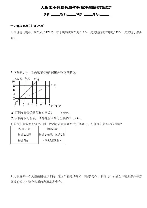 小升初数与代数解决问题专项练习(试题)六年级下册数学人教版(含答案)
