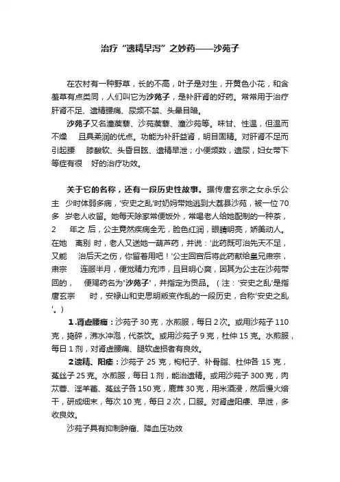 治疗“遗精早泻”之妙药——沙苑子