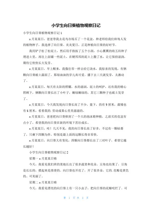 小学生向日葵植物观察日记