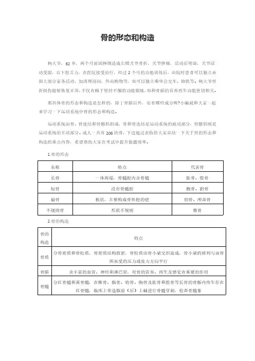 骨的形态和构造