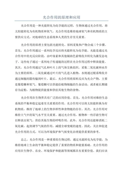 光合作用的原理和应用