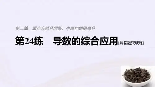 浙江高考数学复习专题分层练,中高档题得高分第24练导数的综合应用课件