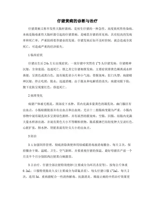 仔猪黄痢的诊断与治疗