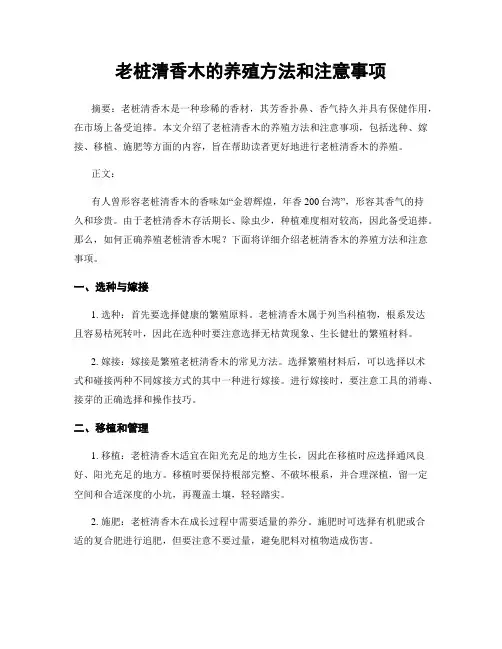 老桩清香木的养殖方法和注意事项