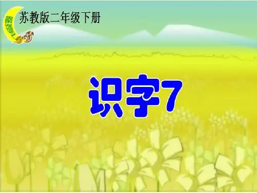 新苏教版二年级语文下册《字  识字7 礻 衤 宀 穴》优质课课件_2