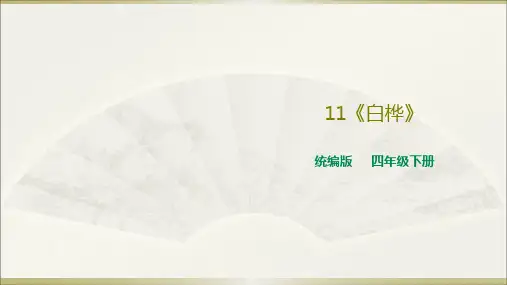 2020年春期新人教部编版四年级下册语文11《白桦》课件
