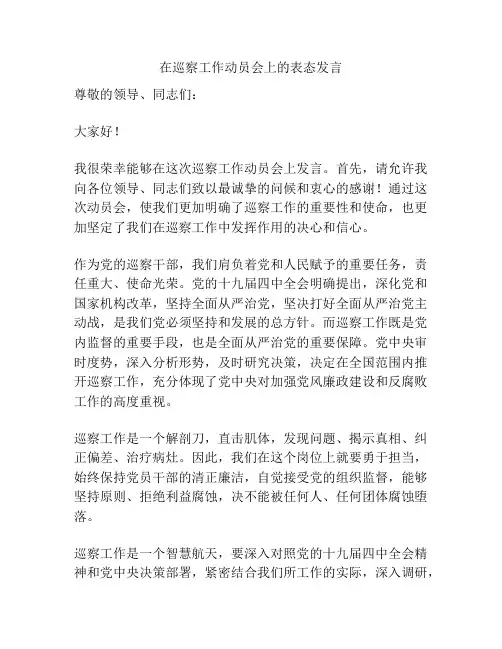 在巡察工作动员会上的表态发言