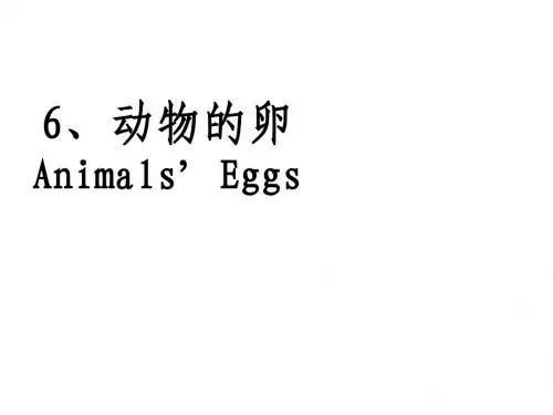 2.6(1)动物的卵