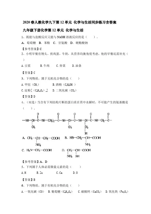 2020春人教化学九下第12单元 化学与生活同步练习含答案