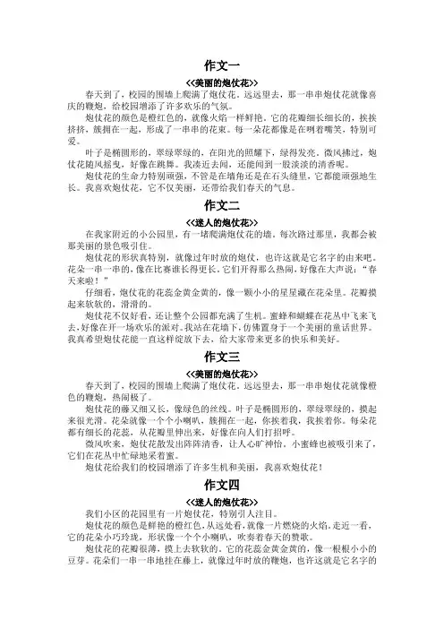 三年级下册写炮仗花300字作文