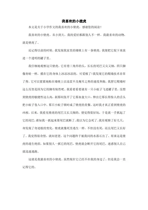 我喜欢的小壁虎_小学作文