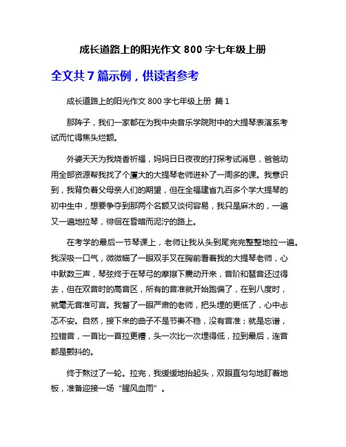 成长道路上的阳光作文800字七年级上册