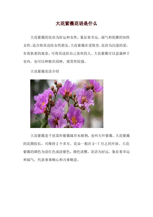 大花紫薇花语是什么